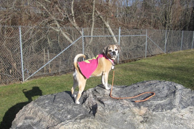 ???????????????????????????????