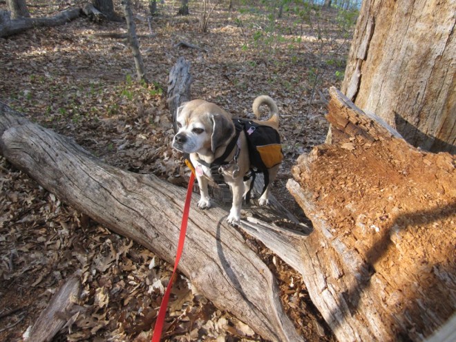 Hiking at Peace Senctuary