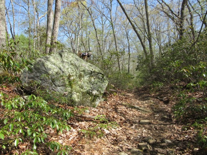 ???????????????????????????????