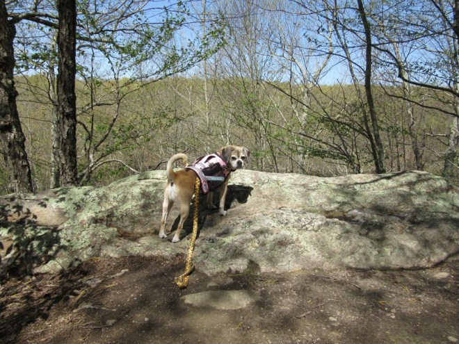 ???????????????????????????????