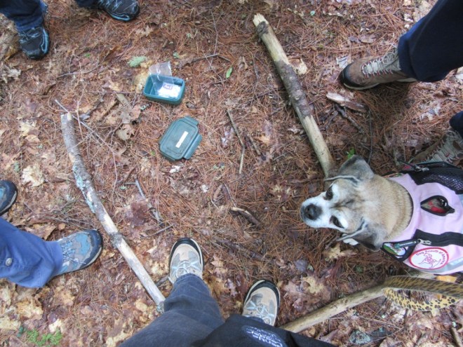 circle of boxing friends