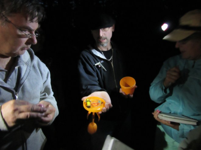 wait for the instructions