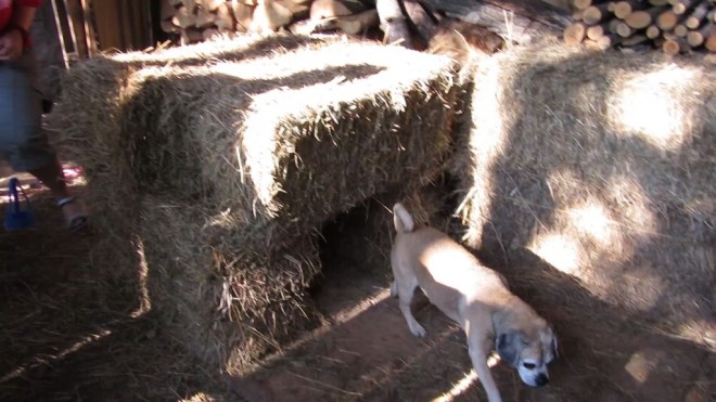 coming out of the tunnel