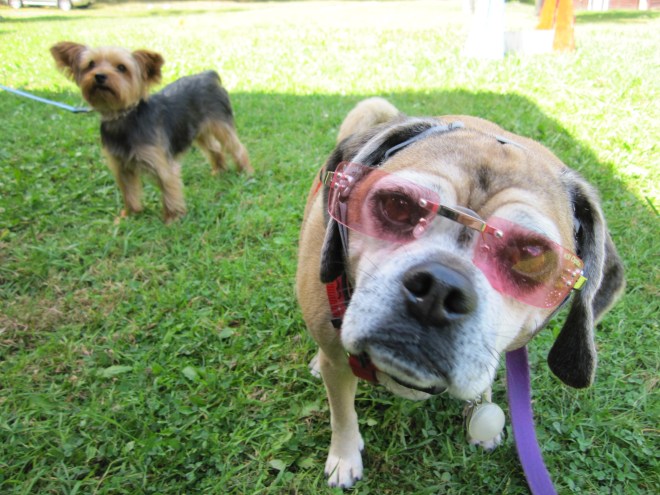 Blue Ridge Mini Camp 2012 (742)