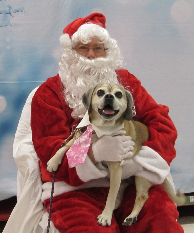 Santa at PetCo