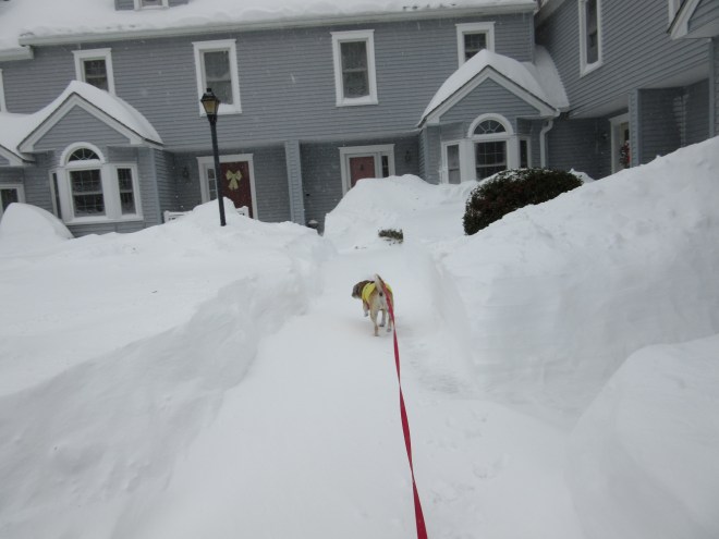 higher than a puggle