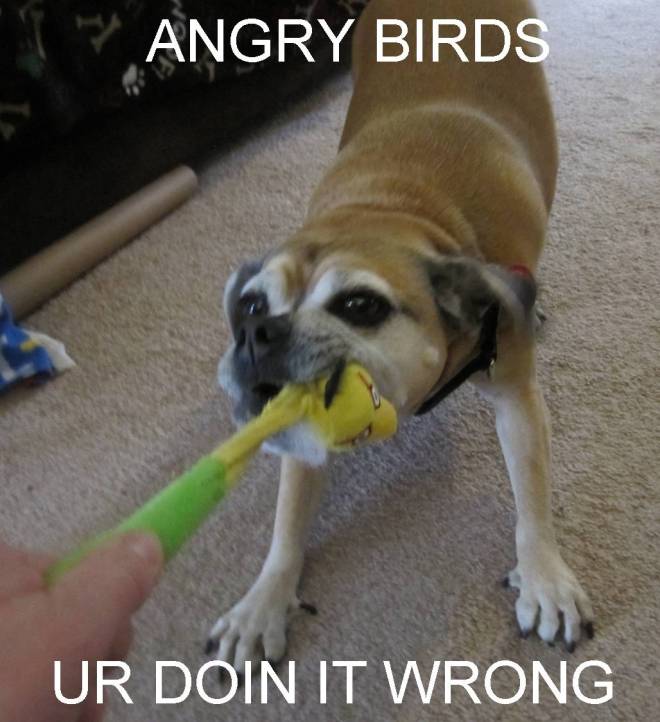 ANGRY_BIRDS